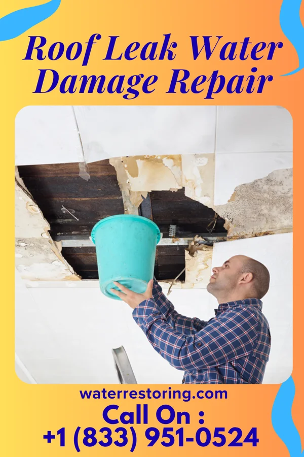 Roof Leak Water Damage Repair in Claflin, KS